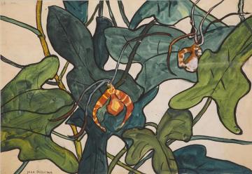 Orchid Study Artwork by Jane Peterson