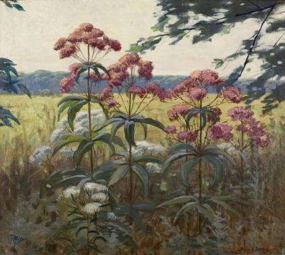 Joe Pye Weed & Boneset, 1935-50 Artwork by Frank V. Dudley