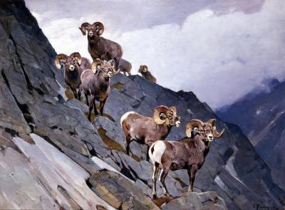 In The Clouds Artwork by Carl Rungius