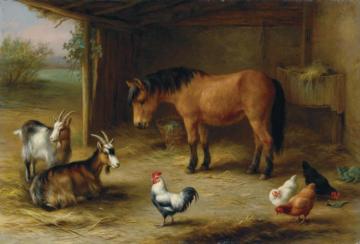 A Horse With Pigeons At Feeding Time Artwork by Edgar Hunt