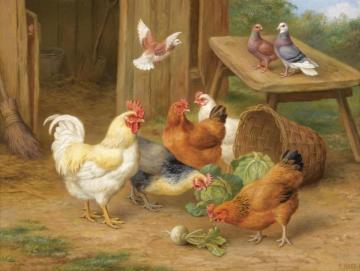 Chickens And Pigeons Artwork by Edgar Hunt