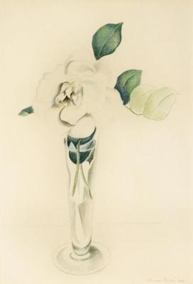 Rose In A Vase Artwork by Charles Sheeler