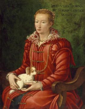 Woman With A Lap Dog, Ca. 1575-1600 Artwork by Venetian