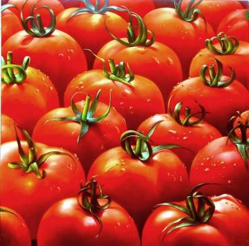 Tomatoes Artwork by Heinz Scholnhammer