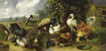 Farmyard Birds Artwork by Julius Scheuerer