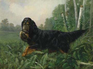 Gordon Setter In A Landscape Artwork by Alexander Pope