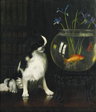 Japanese Chin And Goldfish Artwork by Alexander Pope