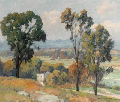 Valley Vista Artwork by Maurice Braun