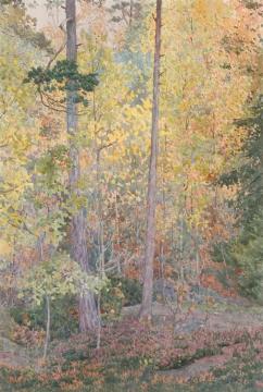 Among The Aspens, 1915 Artwork by Gunnar Widforss