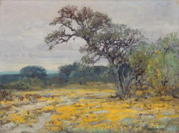Coreopsis, Near San Antonio, Texas, 1919 Artwork by Julian Onderdonk