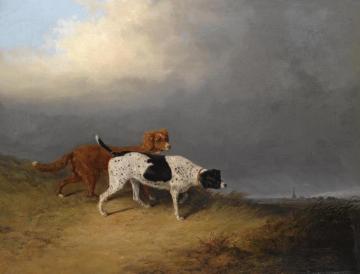 Mr Bathurst's Pointer And Setter At Lydney Park Artwork by Abraham Cooper