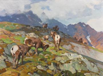 Big Horn Sheep I Artwork by Carl Rungius