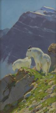 Mountain Goats Artwork by Carl Rungius
