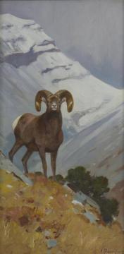 Big Horn Sheep Artwork by Carl Rungius