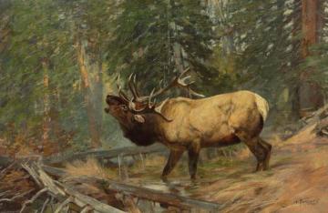 Call Of The Elk Artwork by Carl Rungius