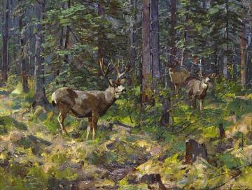 Buck And Doe In The Woods Artwork by Carl Rungius
