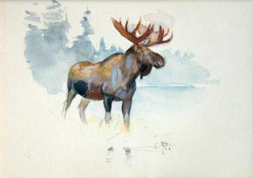 Moose Artwork by Carl Rungius