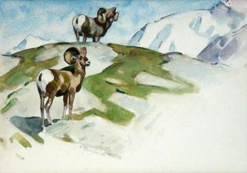 Two Bighorns Artwork by Carl Rungius