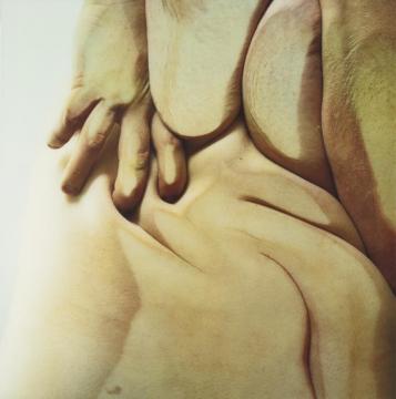 Closed Contact #1 Artwork by Jenny Saville