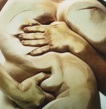Closed Contact #3 Artwork by Jenny Saville