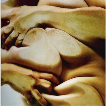 Closed Contact #4 Artwork by Jenny Saville