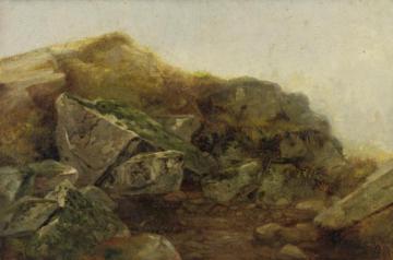 Study Of Rocks Artwork by Asher B. Durand