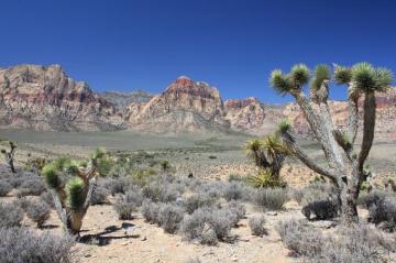 Black Rock Desert-high Rock Canyon Emigrant Trails National Conservation Area Act, Nevada Artwork by Collections