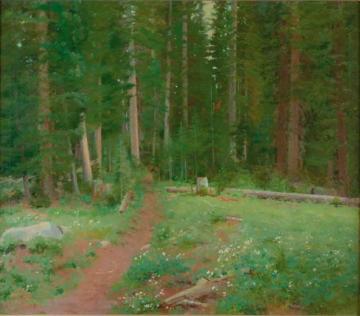 Forest Solitude Artwork by John Hafen