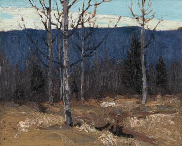 Hillside On Big Cauchon Lake - Algonquin Park Artwork by Thomas John Thomson