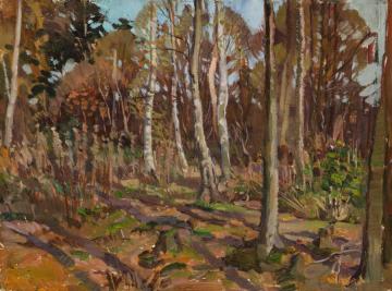 View Of Algonquin Park Artwork by Thomas John Thomson