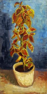 Flame Nettle In A Flowerpot, 1886 Artwork by Vincent Van Gogh