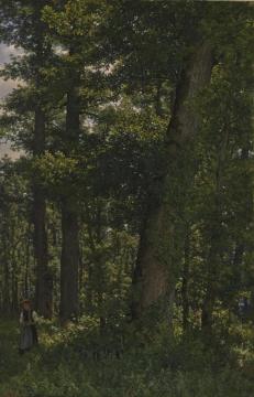 Eichwald Artwork by Robert Zund