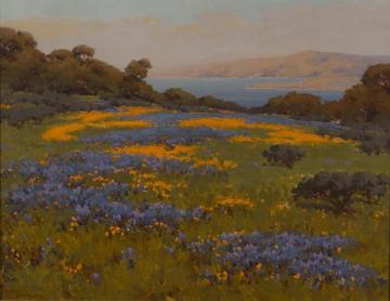 Poppies And Lupine Artwork by John Marshall Gamble