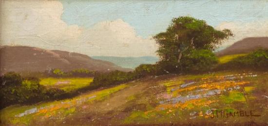 California Wildflowers I Artwork by John Marshall Gamble