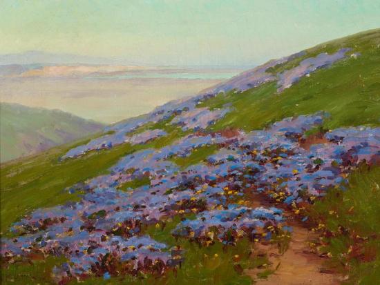 Flowering Lupine On A Coastal Hillside Artwork by John Marshall Gamble