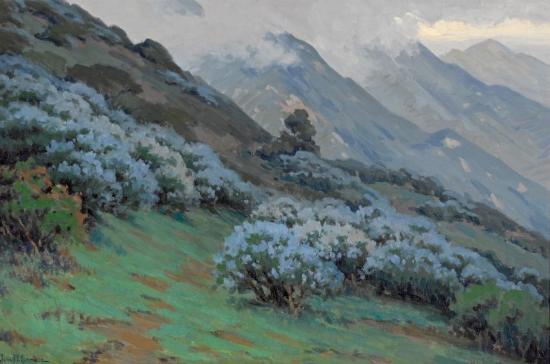 Morning Mists, Wild Lilac Artwork by John Marshall Gamble