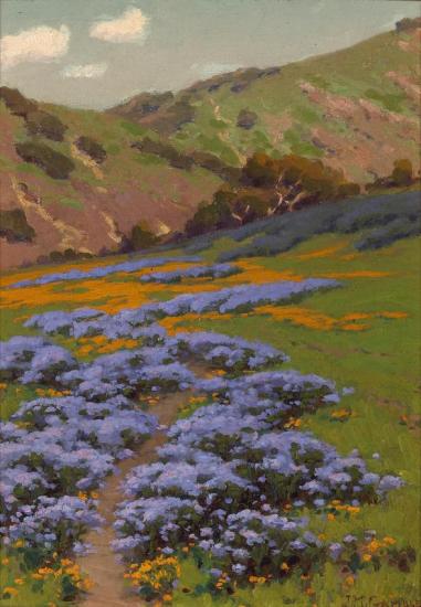 Wild Heliotrope And Poppies I Artwork by John Marshall Gamble