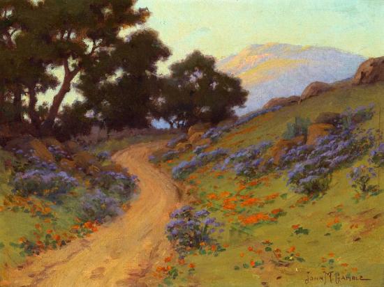 Wild Heliotrope And Poppies Artwork by John Marshall Gamble