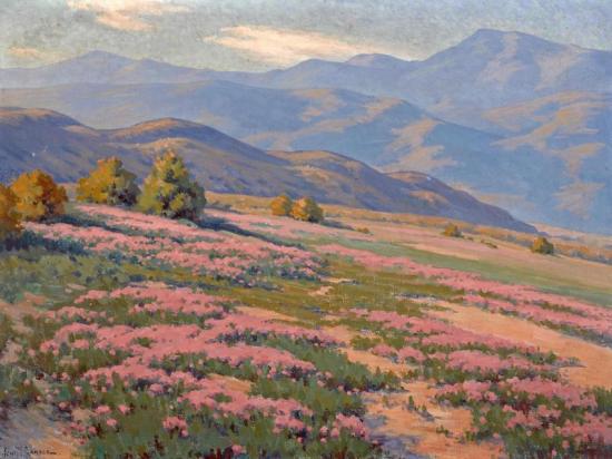 Wild Verbena, Near Palm Springs Artwork by John Marshall Gamble
