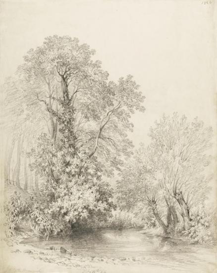 A Woodland Pool At Castle Bromwich Artwork by Frederick Waters Watts