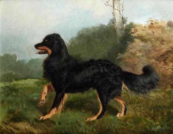 Sharp, Brother Of Fern, One Of Queen Victoria's Dogs Artwork by Charles Burton Barber
