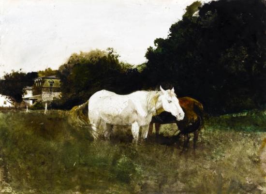 Horse Flies Artwork by Andrew Wyeth