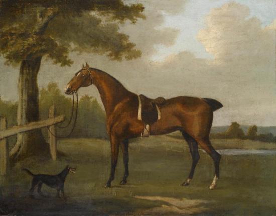 A Bay Hunter With A Manchester Terrier Artwork by John Nost Sartorius