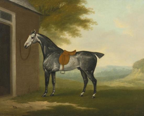 A Dappled Grey Hunter Tethered To A Stable Artwork by John Nost Sartorius