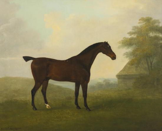 A Dark Bay Hunter In A Landscape Artwork by John Nost Sartorius