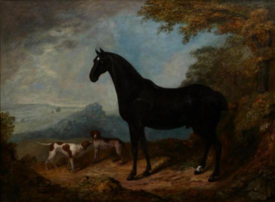 A Horse And Dogs In A Landscape Artwork by John Nost Sartorius