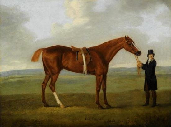 Old Eclipse Held By A Trainer Artwork by John Nost Sartorius
