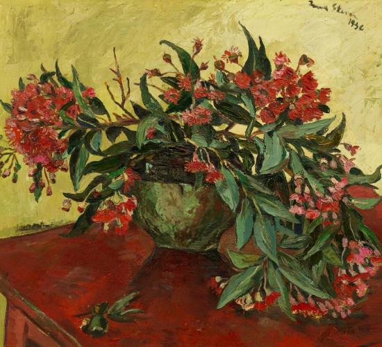Still Life With Red Flowering Gum Artwork by Irma Stern