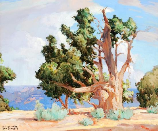 Cedar, Grand Canyon Artwork by Carl Oscar Borg