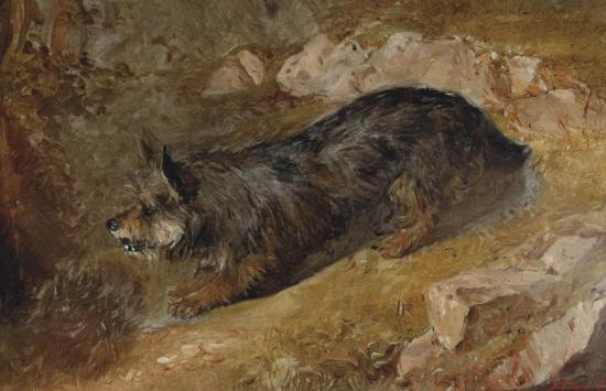 A Rabbiting Terrier Artwork by Thomas Faed